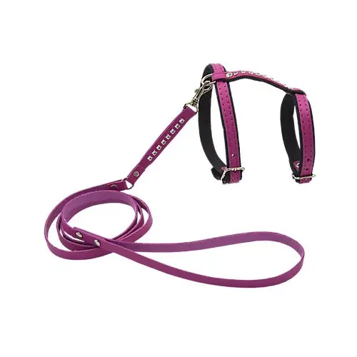 Expédié Aujourd&rsquo;hui Comme Un Roi – Harnais et Laisse Cuir So Funky Rose pour Chat – TU