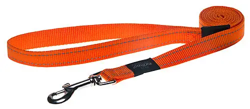 Achat Immédiat Rogz – Laisse Utility Orange pour Chiens
