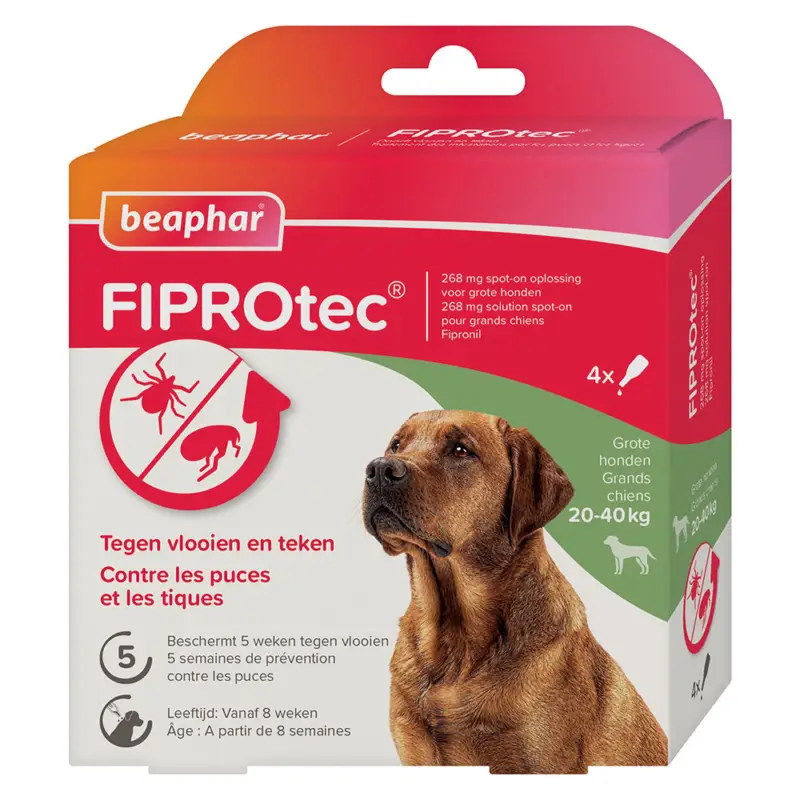 Promotion Saisonnière Beaphar - Pipettes Antiparasitaires Fiprotec pour Grand Chien - X4