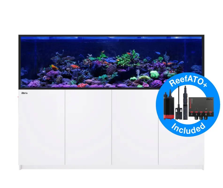 Affaire À Saisir Red Sea – REEFER – S850 G2+ BLANC