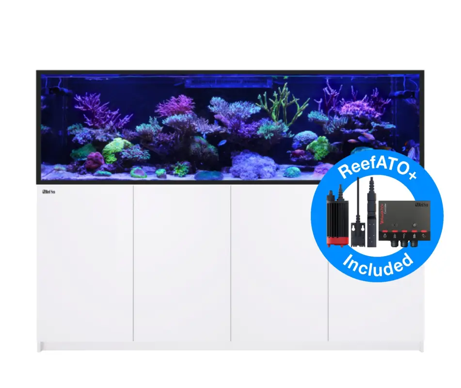 Commander Vite Red Sea – REEFER – S1000 G2+ BLANC