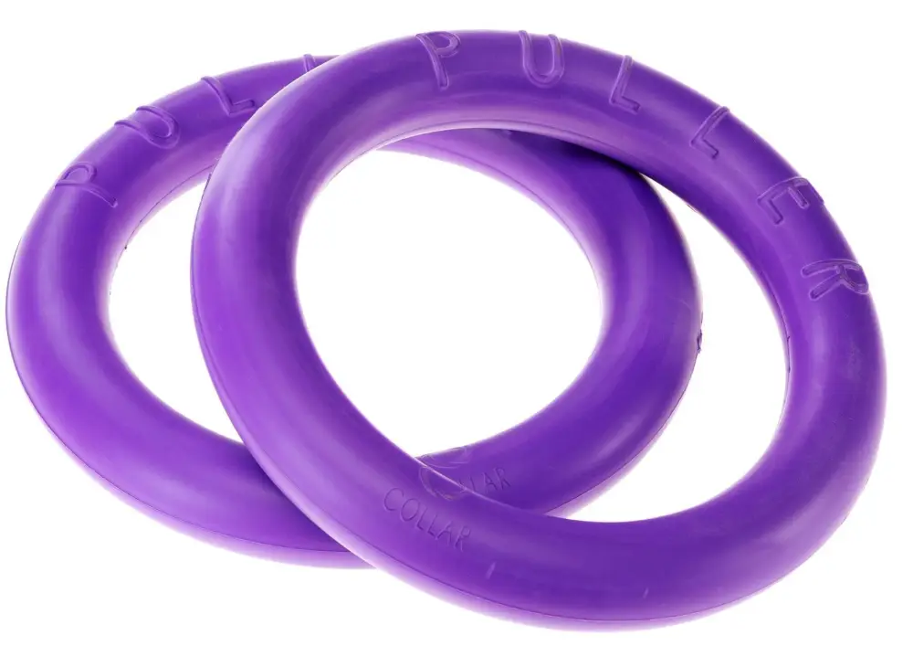 Affaire À Saisir Ferplast – Jouet Puller Standard pour Moyen et Grand Chien – 27cm
