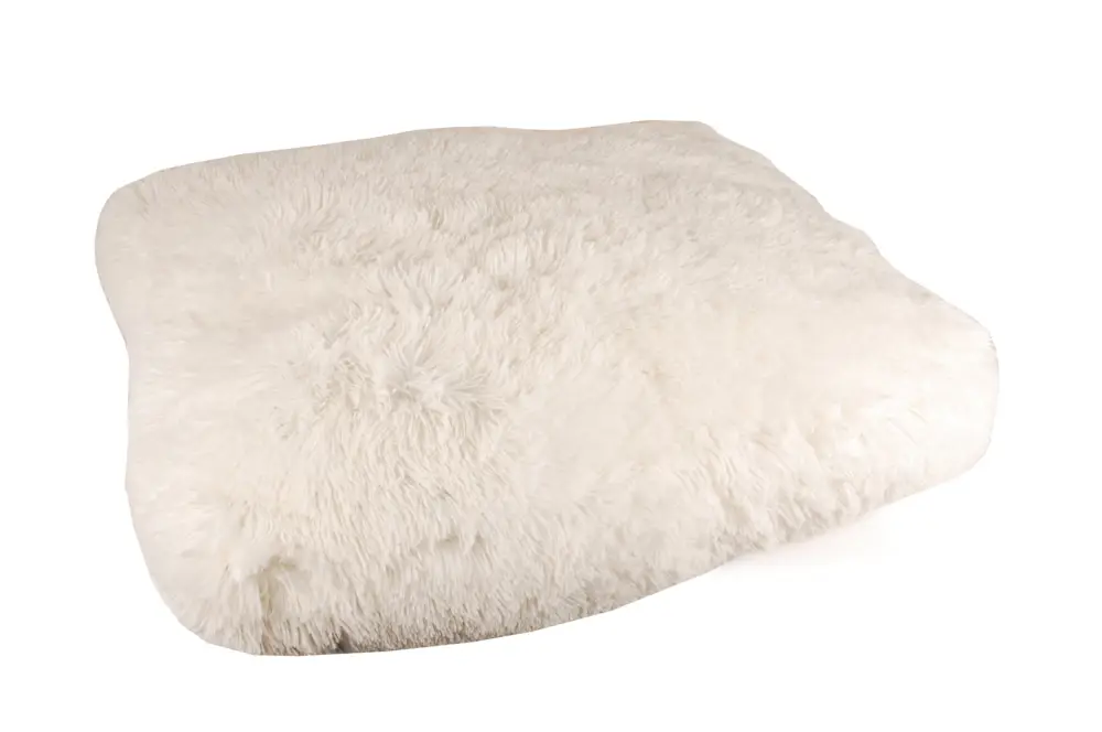 Achetez Aujourd&rsquo;hui Dog's Fashion – Matelas Denly D&eacute;houssable Blanc pour Chien – 56x40x13cm