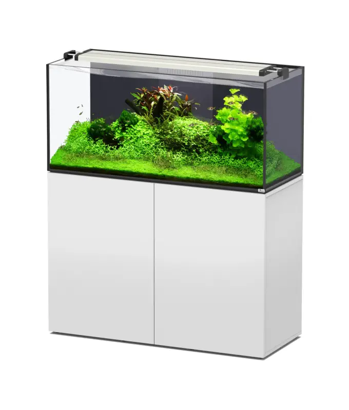 Commander Maintenant Aquatlantis – Aquarium + Meuble AQUAVIEW 120 Blanc – 278L