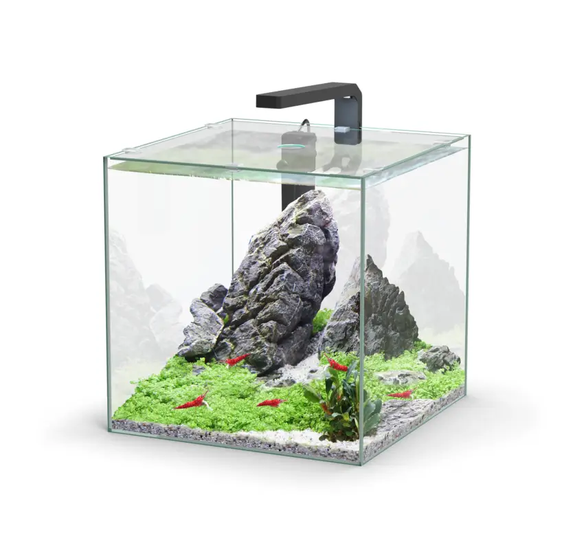 Aquatlantis – Aquarium KUBUS 33 &Eacute;quip&eacute; avec Filtre – 33L Haute Qualité