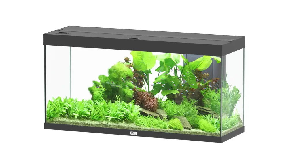 Aquatlantis – Aquarium SPLENDID ULTRA 120×40 LED RGBW BIOBOX 240L – Noir Livraison Express