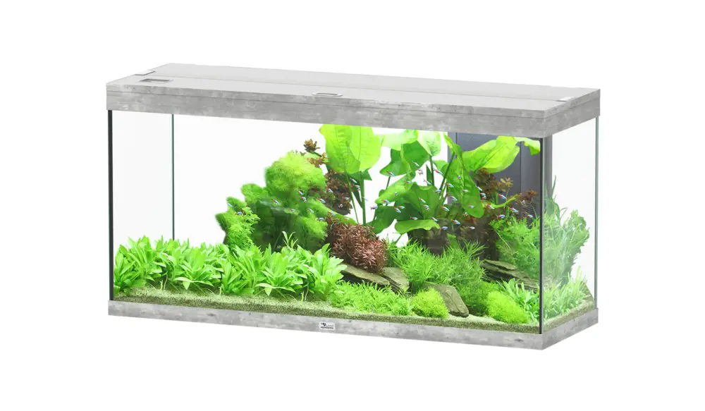 Must-Have Aquatlantis – Aquarium SPLENDID Led 2.0 Equip&eacute; Gris B&eacute;ton – 240L