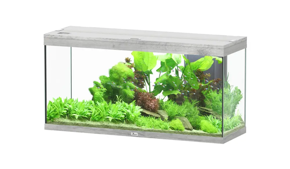 Solde Aquatlantis – Aquarium SPLENDID Led 2.0 Equip&eacute; Ch&ecirc;ne Blanc – 240L