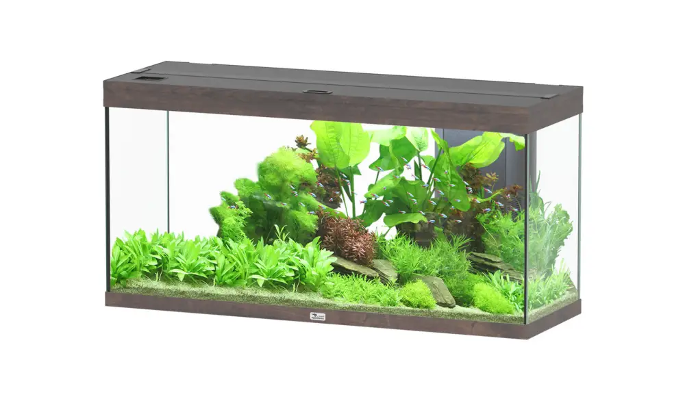 Prix Promo Aquatlantis – Aquarium SPLENDID Led 2.0 Equip&eacute; Ch&ecirc;ne Brun – 240L