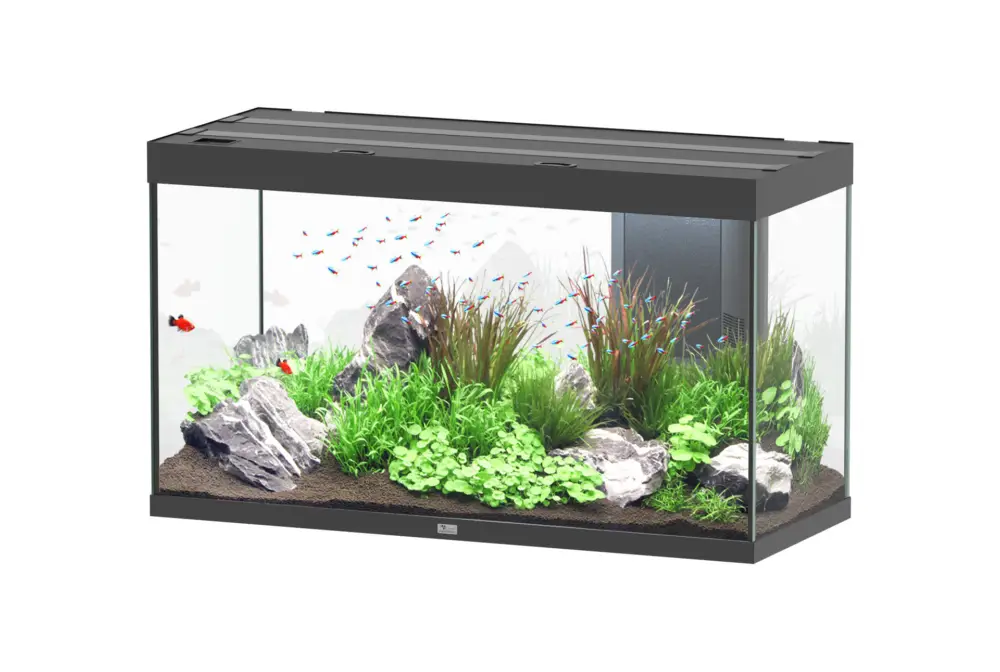 Commande En Gros Aquatlantis – Aquarium SUBLIME ULTRA 120×50 LED RGBW 333L – Noir