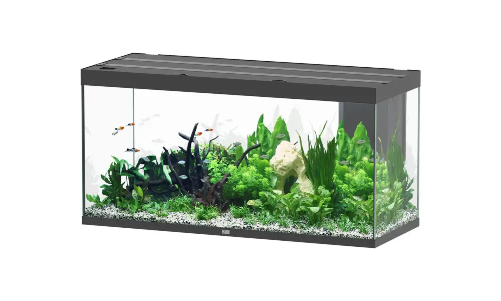Produit De Marque Aquatlantis – Aquarium SUBLIME ULTRA 150×60 LED RGBW 545L – Noir
