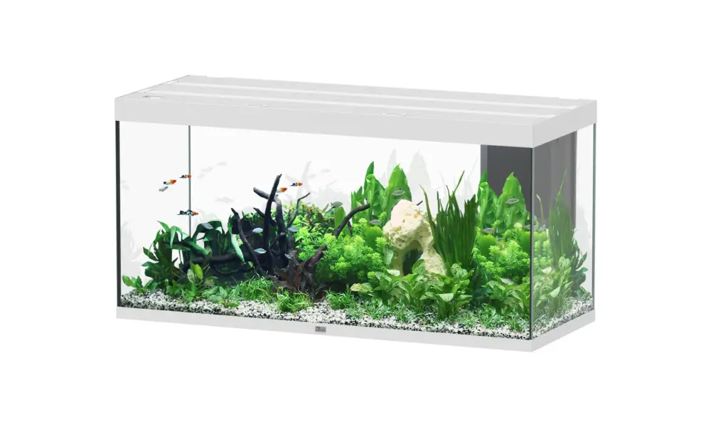 Aquatlantis – Aquarium SUBLIME ULTRA 150×60 LED RGBW 545L – Blanc Nouveauté