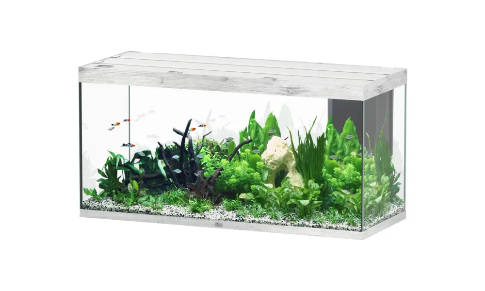 Offre Du Jour Aquatlantis – Aquarium SUBLIME ULTRA 150×60 LED RGBW 545L – Ch&ecirc;ne Blanc