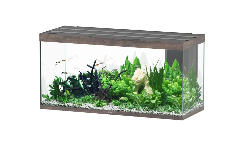 Populaire Aquatlantis – Aquarium SUBLIME ULTRA 150×60 LED RGBW 545L – Ch&ecirc;ne Brun