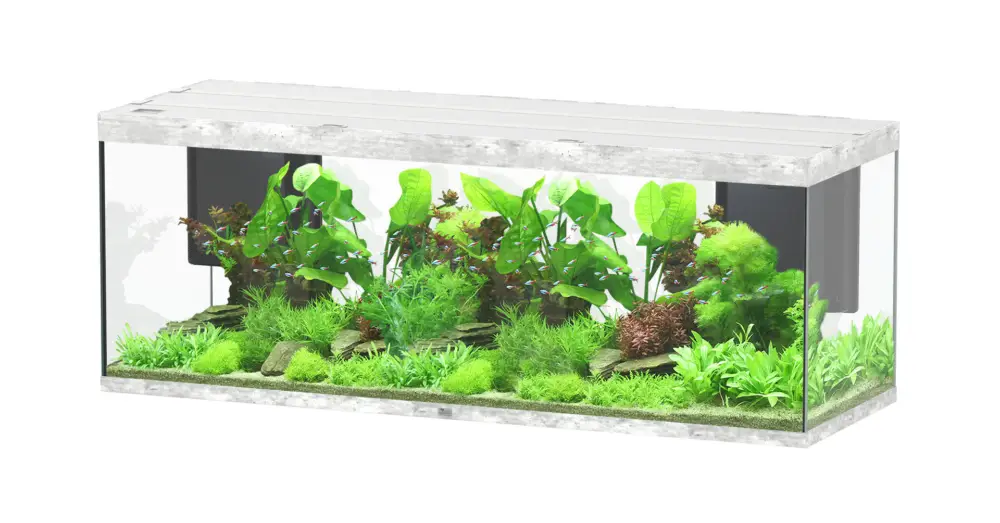 Aquatlantis – Aquarium SUBLIME ULTRA 200×70 LED RGBW 853L – B&eacute;ton Top Vente