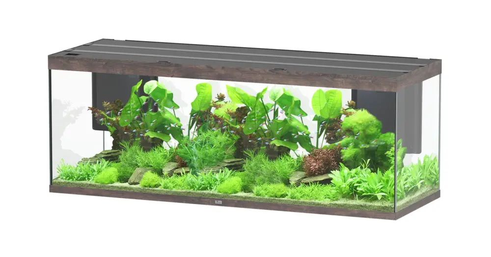 Marque Aquatlantis – Aquarium SUBLIME 200 Led Ch&ecirc;ne Brun – 853L