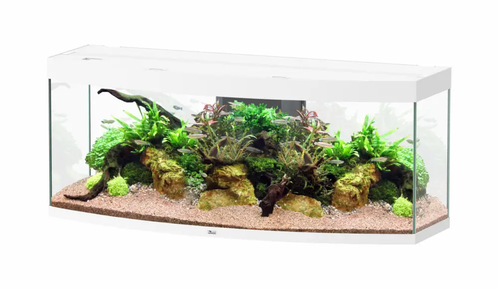 Aquatlantis – Aquarium SUBLIME ULTRA HORIZON 150 LED RGBW 363L – Blanc Promotion Saisonnière