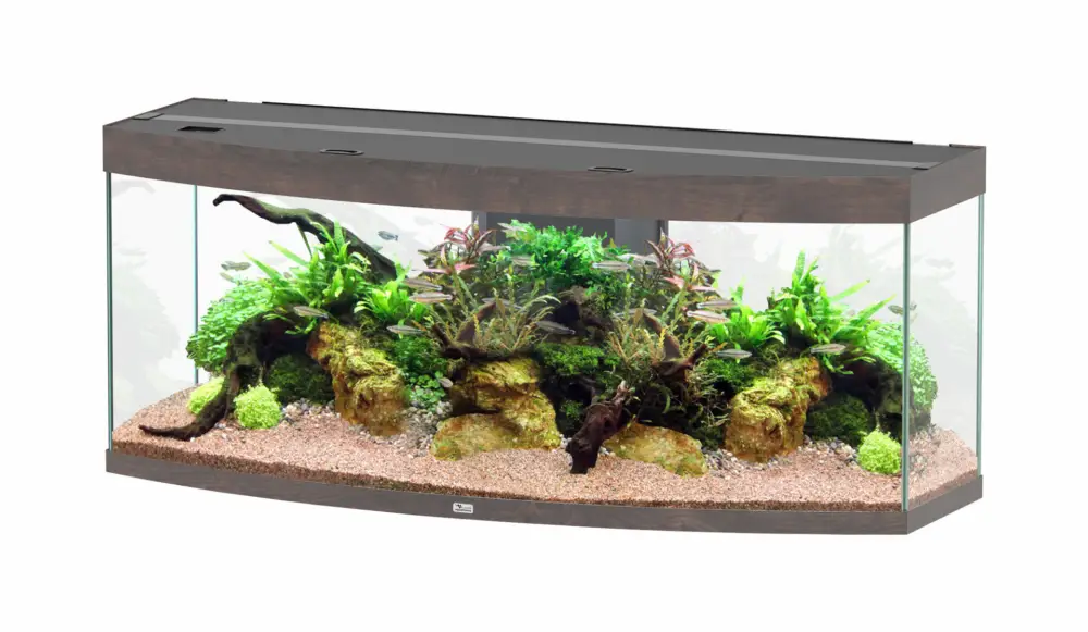 Aquatlantis – Aquarium SUBLIME ULTRA HORIZON 150 LED RGBW 363L – Ch&ecirc;ne Brun Offre Limitée