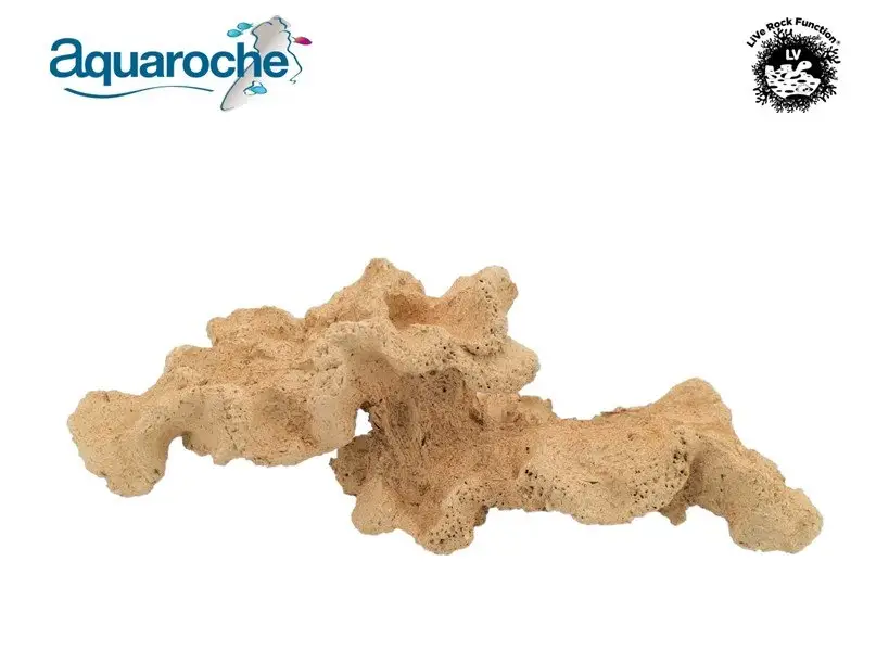 Aquaroche – Roche Eau de Mer Pont Corallien Affaire À Saisir