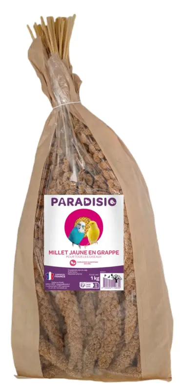 Expédié Aujourd&rsquo;hui Paradisio – Millet Jaune en Grappe pour Oiseaux