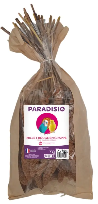 Commander Maintenant Paradisio – Millet Rouge en Grappe pour Oiseaux