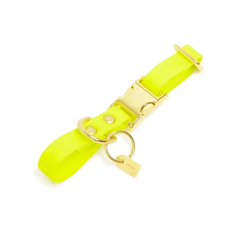 Certifié Pop Dog – Collier Joyeux Jaune pour Chien – XS