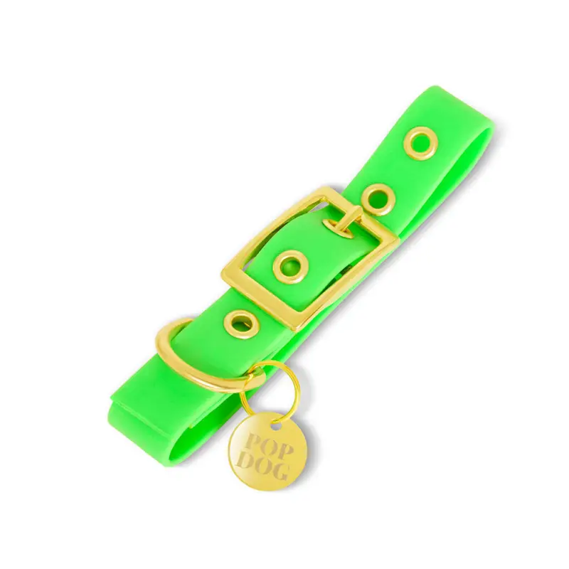 Pop Dog – Collier &agrave; &OElig;illet Pirate Vert pour Chien – M Paiement Sécurisé