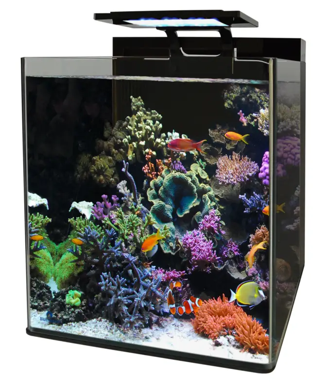 Prix Cassé Blue Marine – Nano Aquarium Marin Reef 90 – 50x35x40cm