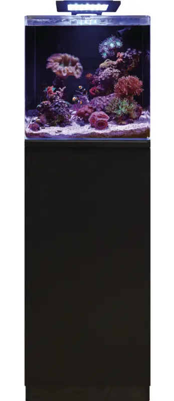 Blue Marine – Meuble Reef 90 Noir – 50x45x86cm Dernière Chance