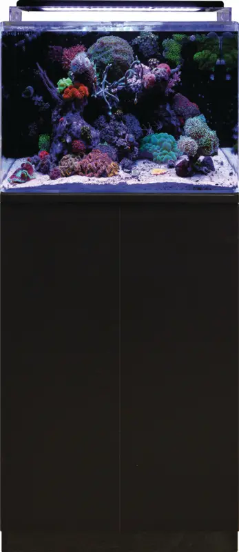 Meilleur Prix Blue Marine – Meuble Reef 120 Noir – 50x65x85cm