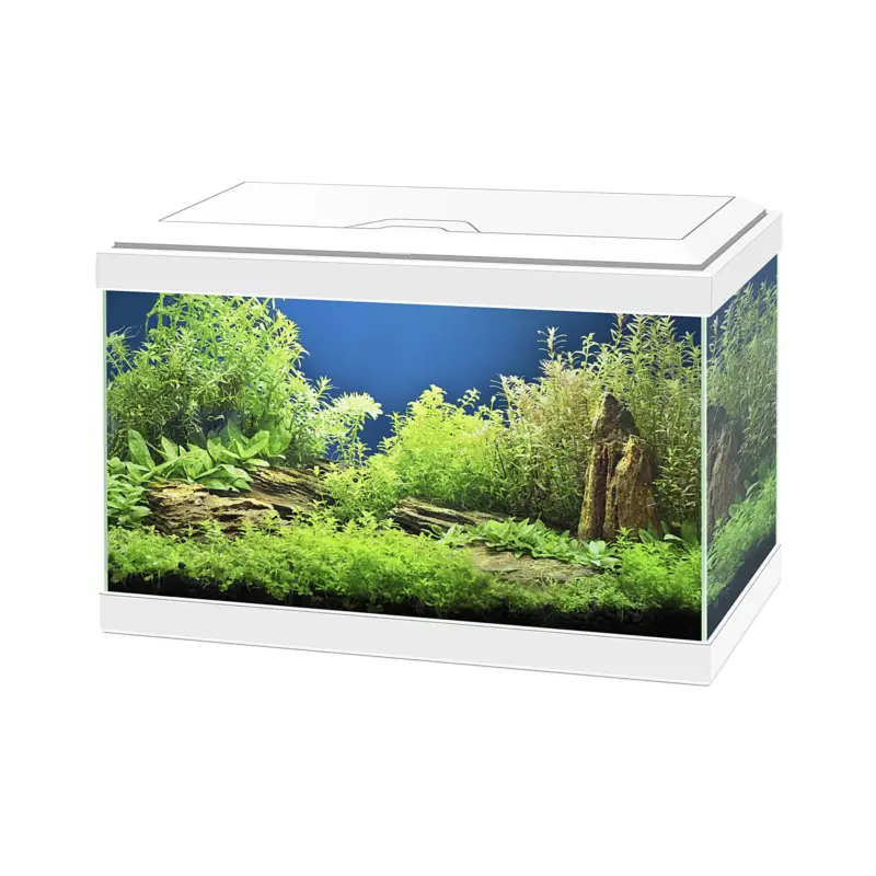 Ciano – Aquarium Classic Blanc + Filtre CF40 – 20L Achetez Aujourd&rsquo;hui