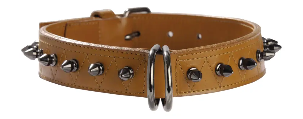 Bobby – Collier Pretty Marine pour Chiens Must-Have