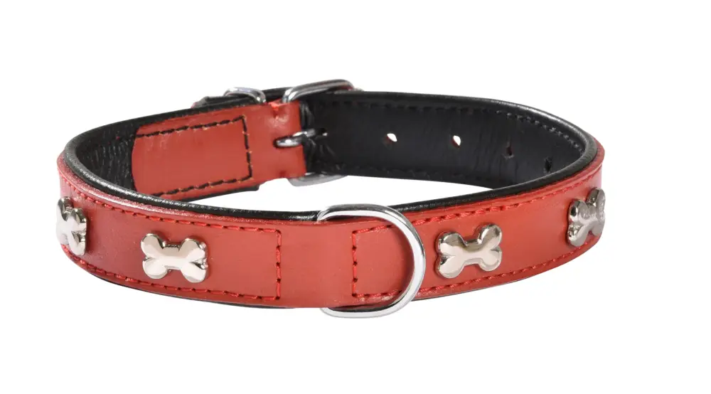 Bobby – Collier Geisha Taupe pour Chiens Acheter En Ligne