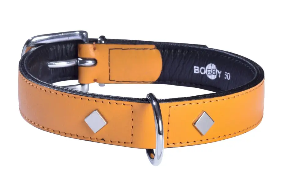 Bobby – Collier Tomy Moutarde pour Chiens Offre Spéciale