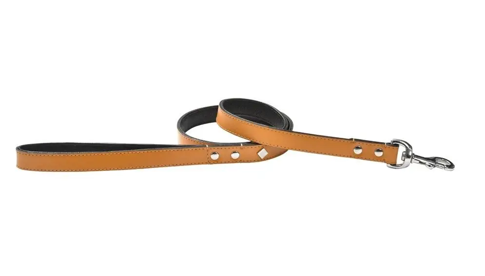 Super Prix Bobby – Laisse Tomy Moutarde pour Chiens – 105cm