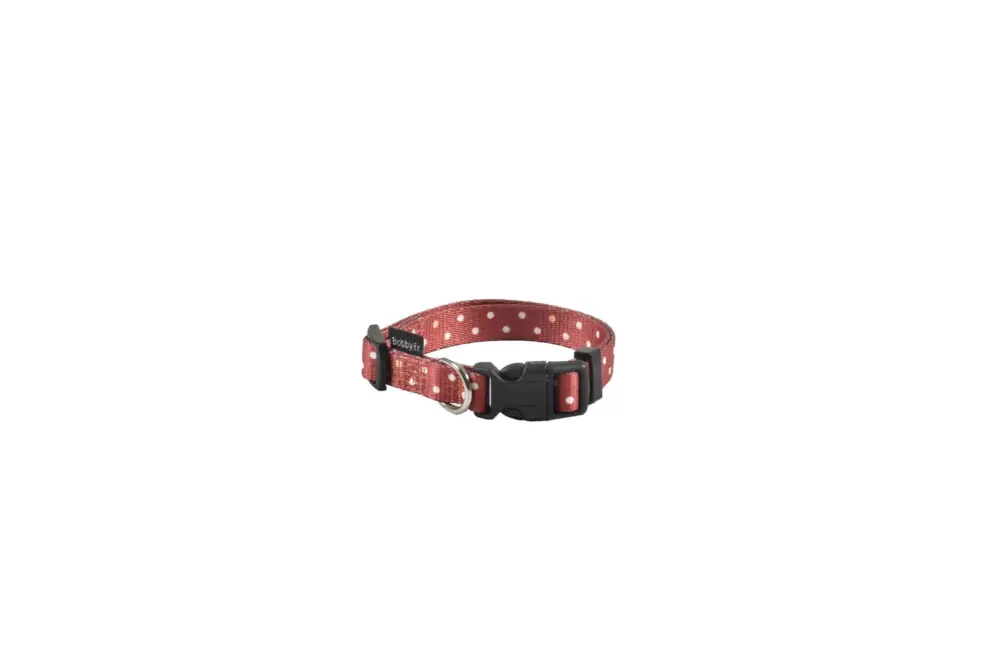 Bobby – Collier Rio Anthracite pour Chiens Bon Marché
