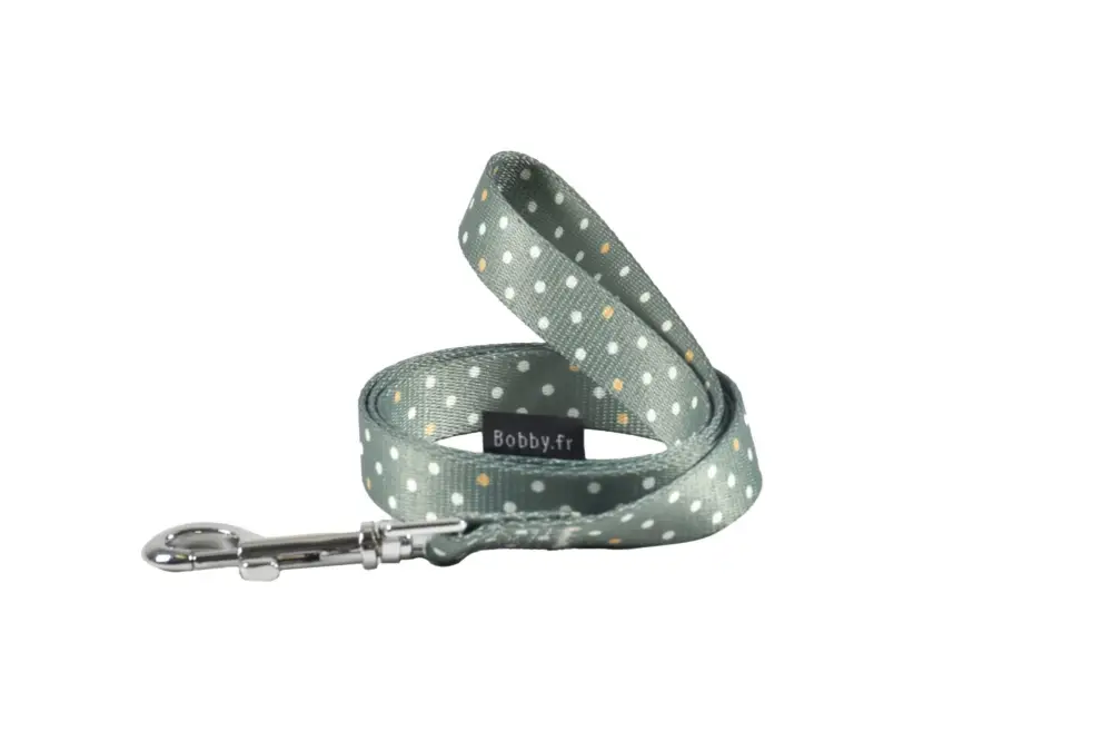 Authentique Bobby – Laisse Pretty Vert pour Chiens