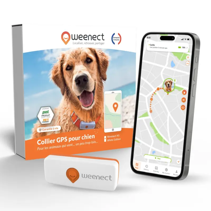 Offre Spéciale Weenect – Traceur GPS XS pour Chiens
