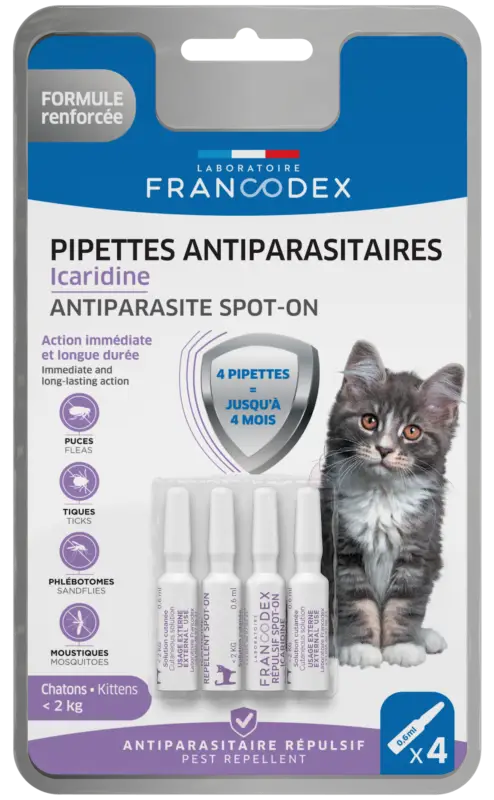 Francodex – Pipettes Antiparasitaires Icardine pour Chatons – x4 Prix Bas