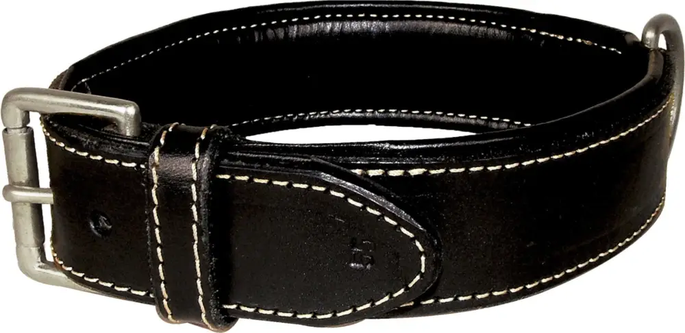Bobby – Collier Classique Haute Finition Noir pour Chiens Certifié