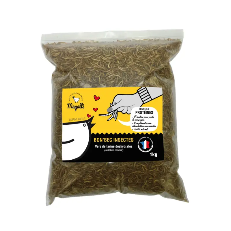 Magalli – Vers de farine D&eacute;shydrat&eacute;s Bon'Bec Insectes pour Poules – 1kg Quantité Limitée