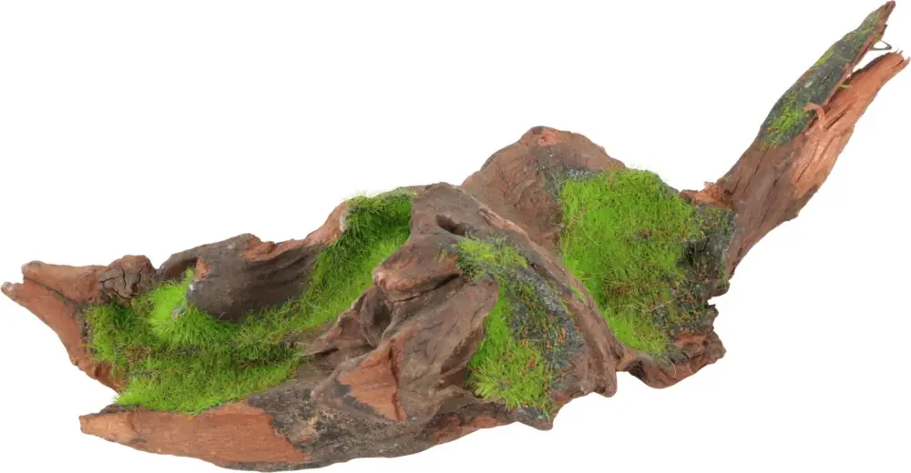 Zolux – Racine Malaisie Naturelle Kipouss pour Aquarium Authentique