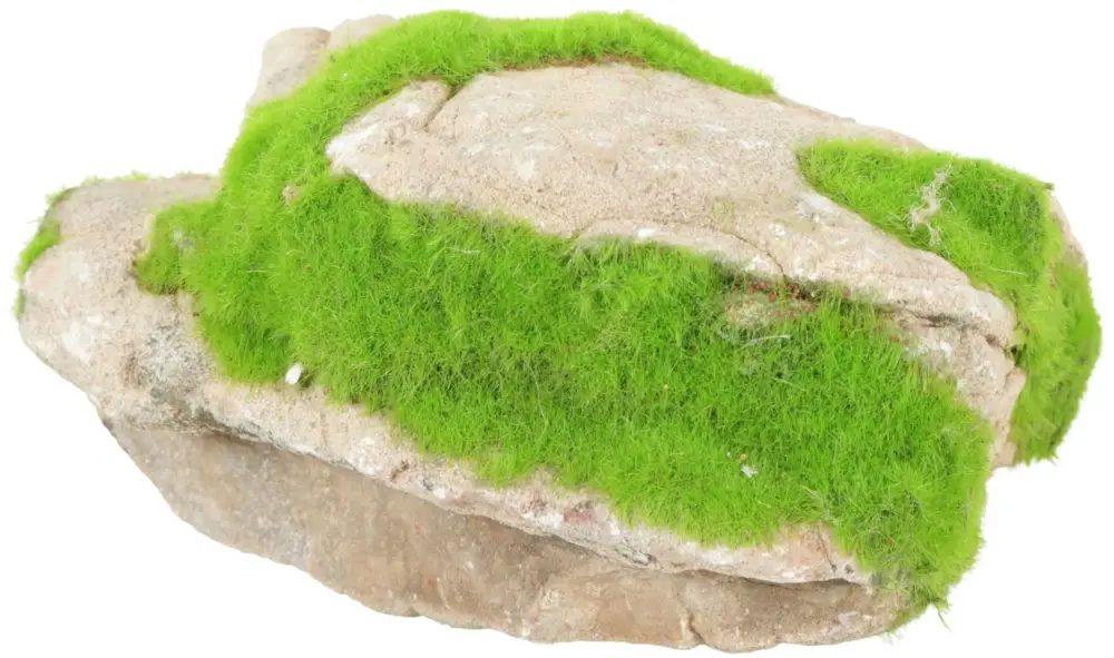 Zolux – Pierre Naturelle Grey Stone Kipouss pour Aquarium d'Eau Douce Vente Directe