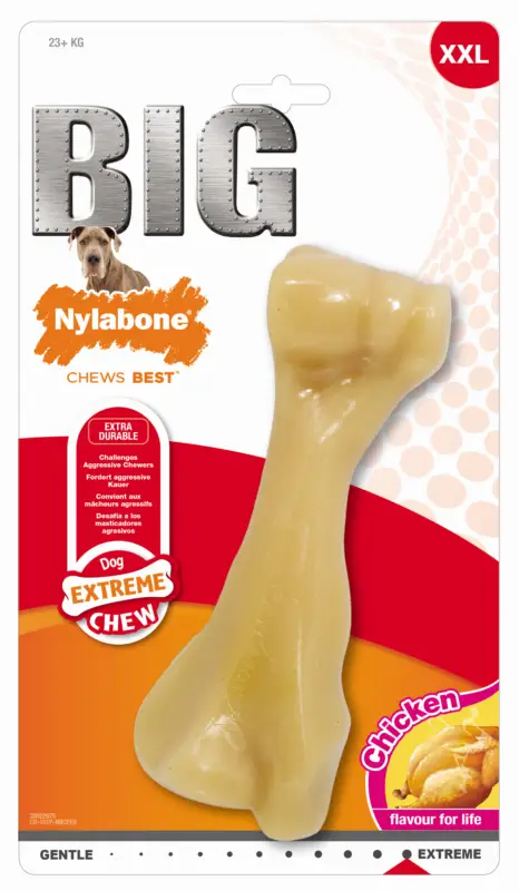 Nylabone – Jouet Os &agrave; M&acirc;cher BIG Bone au Poulet pour Chiens – XXL Petit Prix
