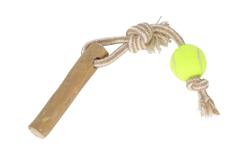 Anka – Jouet Balle Tennis + Bois de Caf&eacute;ier S/M pour Chiens – 34cm Top Vente