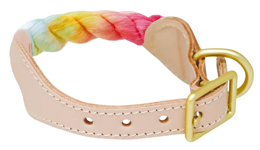 Acheter En Ligne Croci – Collier Corde Sorbet Arc-en-Ciel pour Chiens