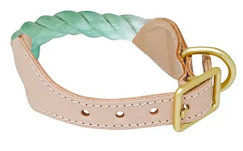 Commande En Gros Croci – Collier Corde Sorbet Citron Vert pour Chiens