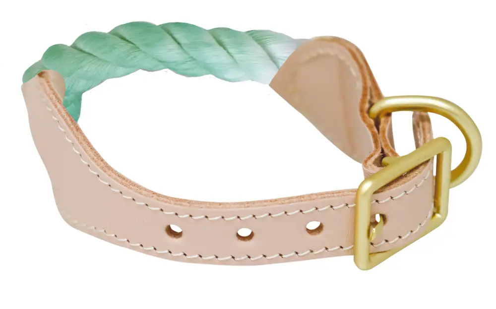 Haute Qualité Croci – Collier Corde Sorbet Citron Vert pour Chiens
