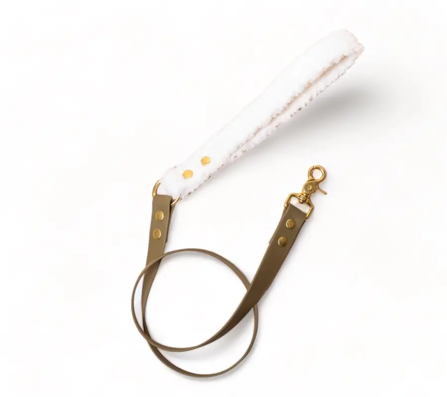 Pompon&Pets – Laisse Duo Petit Prince pour Chiens – 150cm Offre Exclusive