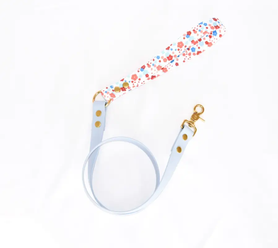 Nouveauté Pompon&Pets – Laisse Duo Spring pour Chiens – 150cm